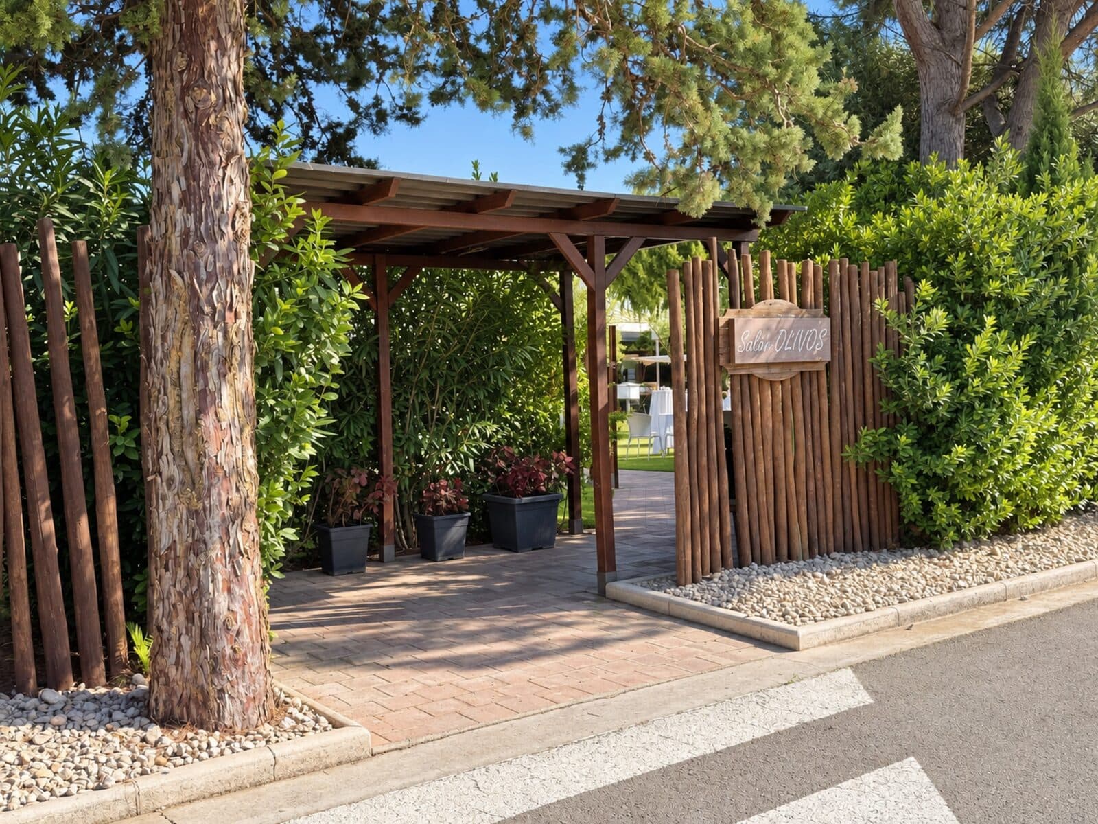 Olivos — Finca Sansui