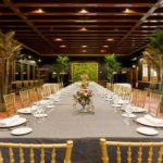 EL CACHIRULO (118) (1)